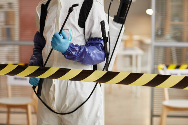 Professional Hoarding Cleanup technician working in Harrisburg, IL